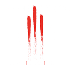 Prime Motion Fitness Logo